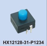 HX12128-31-P1234