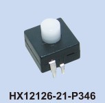HX12126-21-P346