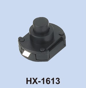 HX1613