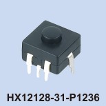 HX12128-31-P1236